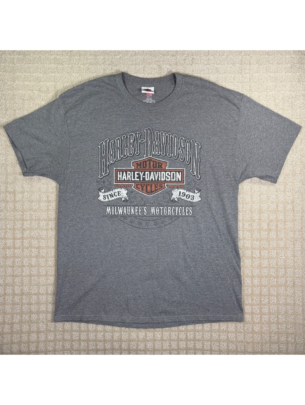 Harley-Davidson Horny Toad Temple Texas T-shirt gray XL